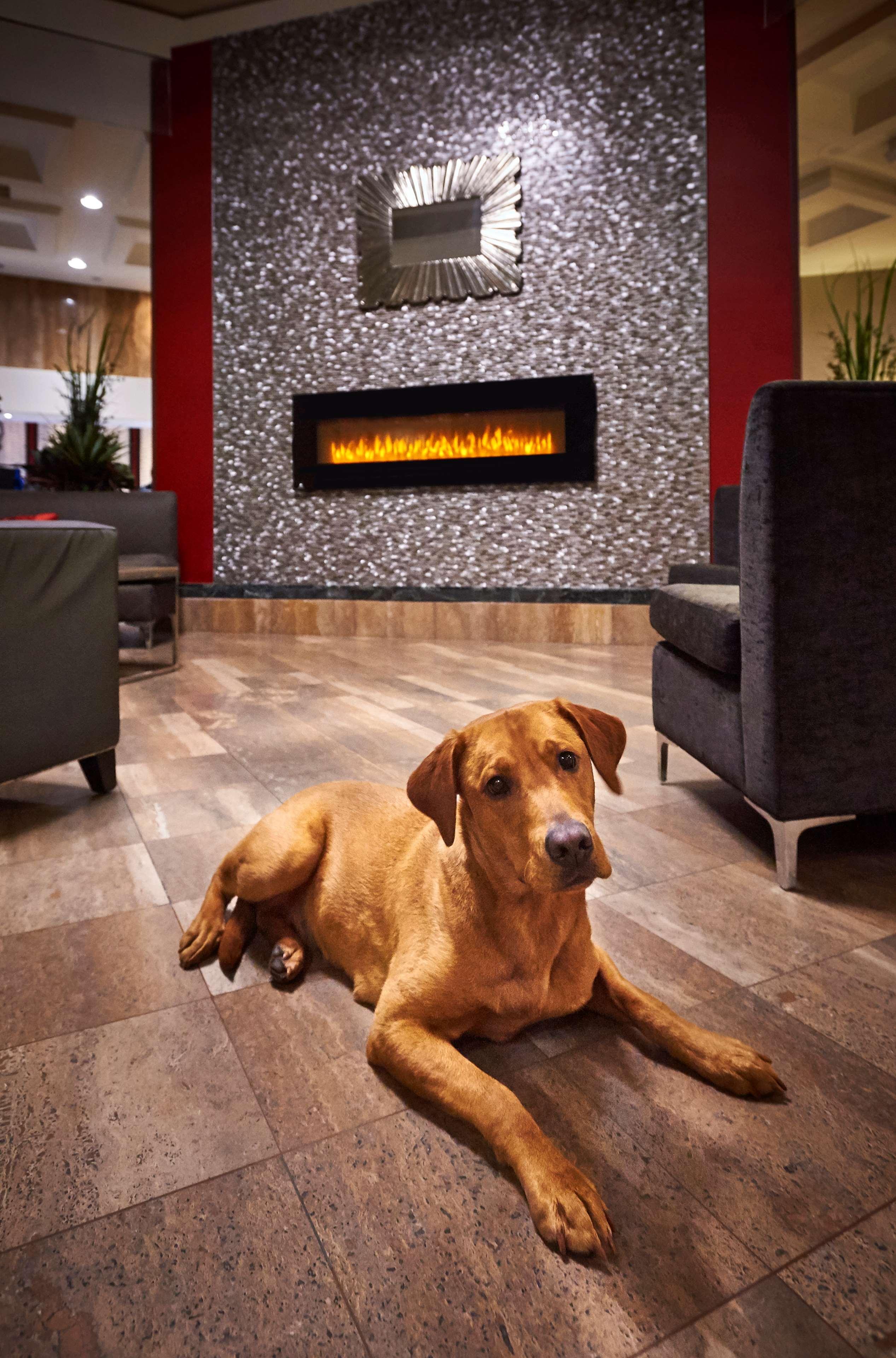 Best Western Plus Waterfront Hotel Windsor Zewnętrze zdjęcie